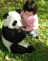 A little Girl and Panda